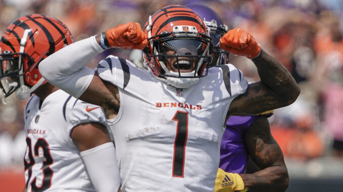 Vikings Bengals Football