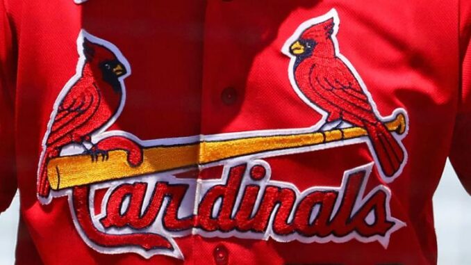 cardinalscropped_60bah5ie3xak13aw96nm4vh2i
